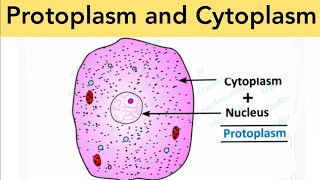 PROTOPLASM AND CYTOPLASM  SCIENCE DIAGRAM [upl. by Leagiba415]