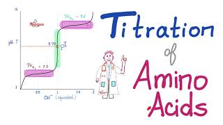 Titration of Amino Acids  pH pKa1 and pKa2  Isoelectric Point Amino Acids Part 4 [upl. by Kreit592]