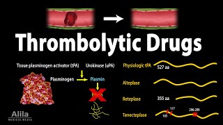 Pharmacology Thrombolytic Fibrinolytic Drugs Animation [upl. by Hut836]