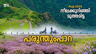 നീലക്കുറിഞ്ഞി മുത്തമിട്ട പരുന്തുംപാറParunthumpara  Neelakurinji  Idukki  Motovlog 1 [upl. by Idahs9]