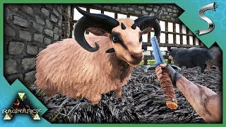 MAKING THE SHEEP SLAUGHTER HOUSE MUTTON FARM  Ark RAGNAROK DLC Gameplay S3E58 [upl. by Robins51]