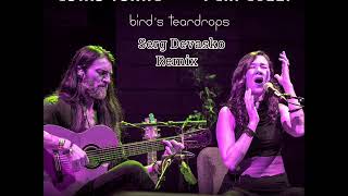 Estas Tonne FtPeia LuzziBirds TeardropsSerg Devasko Remix [upl. by Hsak]