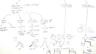 Cardiac Drugs Part 2 Chronotropic and Ionotropic Drugs [upl. by Phelips467]