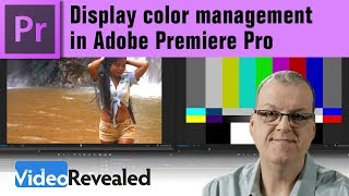 Display color management in Adobe Premiere Pro [upl. by Obocaj]