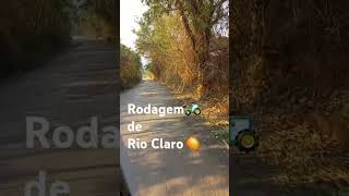 Rio Claro 🍋 potencial madereira 🍁 [upl. by Norvun]