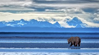 SPEAKER SERIES with wildlife photographer Scott Joshua Dere quotRomancing Nature with Photographyquot [upl. by Elleirua]