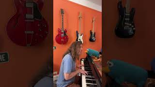 WAITING FOR THE SUN by THE DOORS scottchasolen pianist pianocover coversong pleasesubscribe [upl. by Ahto853]