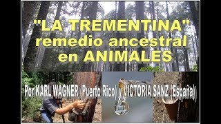 CONF quotLA TREMENTINA en ANIMALESquot 2ª parte  Karl Wagner y Victoria Sanz [upl. by Atinaj]