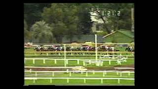 1990 Caulfield Cup  Sydeston [upl. by Fenner406]