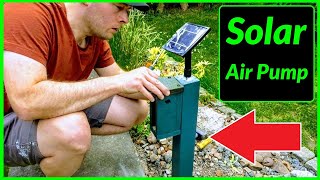 How to Install a Solar Powered Air Pump into your Pond  Aerate amp Oxygenate Your Water [upl. by Toombs]