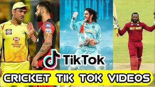 cricket tik tok video cricket team videos🎭🥵🤬 [upl. by Sella]