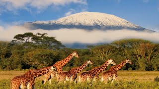 Tanzania An Up Close Look At Natures Beauty  Somewhere On Earth [upl. by Enitsyrhc23]