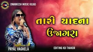 PAYAL VAGHELA TARI YADNA UJAGHRA 2024 NEW TRENDING SONG [upl. by Etteyafal344]