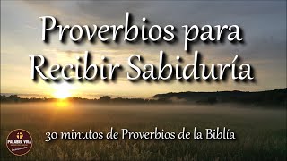 Proverbios para recibir sabiduría de parte de Dios  Biblia hablada  Bible audio Proverbs [upl. by Nnairb]