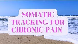 Relief from Pain Somatic Tracking Meditation [upl. by Robet]