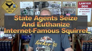 State Agents Seize And Euthanize InternetFamous Squirrel [upl. by Aisya]