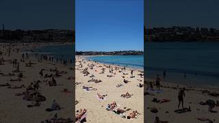 Beautiful Bondi beach Sydney 8112024 [upl. by Torrey860]