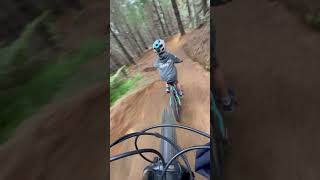 Whangamata MTB park 2024 4yrs old  tsunami  grade 3 [upl. by Sissie]