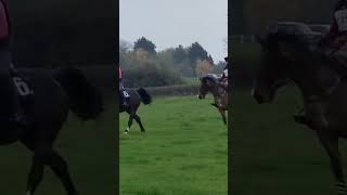 Louie  melton hunt club ride horse [upl. by Estelle726]