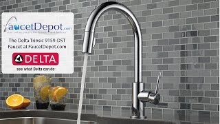 Delta Trinsic Kitchen Faucets [upl. by Ardnad]