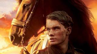 The Tragic True Story Of War Horse  War Horse  Timeline [upl. by Gwendolyn]