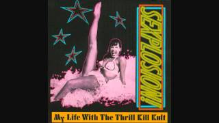 My Life with the Thrill Kill Kult  Daisy Chain for Satan [upl. by Aneg]