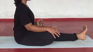 Lower Body Joints  Pawanmuktasana Series 1 [upl. by Ingvar225]