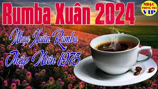 Nhạc Xuân Rumba 2024  Hoà Tấu Nhạc Xuân Không Lời  Nhạc Phòng Trà Thư Giãn Chào Xuân [upl. by Mungo809]