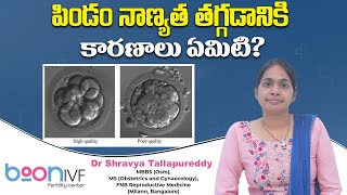 పిండం నాణ్యత  Reasons for Poor Embryo Quality  Causes and Treatment  Boon Fertility [upl. by Notnerb972]