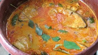 Kerala fish Curry With Coconut Milk  Kerala Recipes  Nisa Homey [upl. by Rosina]