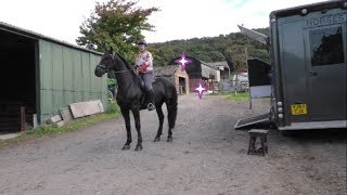 Friesian Horse on a fun ride with lots of great cantering places [upl. by Dinnie690]