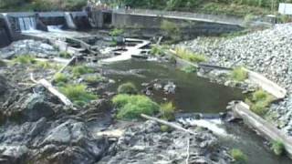 The Removal of Savage Rapids Dam [upl. by Imogen]