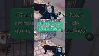 Mottos To Live By LittleKittyBigCity  webfoo on Twitch [upl. by Arotahs]