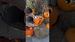 Life Doodles  Pumpkin in hands 😂 lifedoodles shorts animation cartoon [upl. by Lupee]