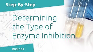 Effect of an Inhibitor on the Activity of Catechol Oxidase BIOL101  Enzymatic Reactions Lab [upl. by Gone]