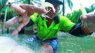 TARA MANGUHA NASAB TA NAN ISDA UG MGA HIPON SA FISHPOND DODONGS AKP TVsimplengbuhayprobinsya [upl. by Misty]