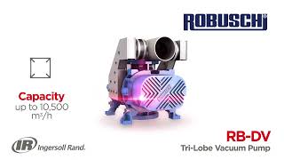 RBDV Rotary Lobe Vacuum Pumps Unleashing Versatile Power for Liquid and Dry Waste  Robuschi [upl. by Aleakam]