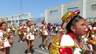 CARNAVAL ANDINO ARICA 2018  CAPORALES MOXA  UMA [upl. by On31]