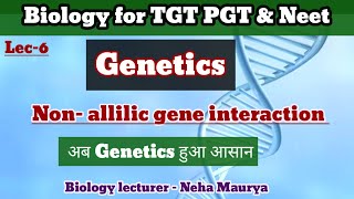 Non Allilic gene interaction ।ComplementarySupplementaryampCollaborative gene ।polygenic inheritance [upl. by Ttocserp]