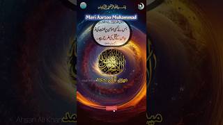 Meri Aarzoo Muham mad muhmmad naat muhammadﷺ shorts nabiﷺ [upl. by Egiap]