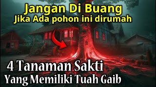 BANYAK YANG BELUM TAU  4 Tanaman Sakti Yang Memiliki Tuah Gaib Yang Kuat [upl. by Ryon]