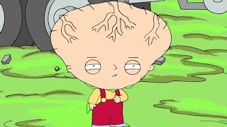 Big Brain Stewie [upl. by Ojaras]