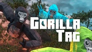 GORILLA TAG WITH YOU CODE PUNNYBOY76 [upl. by Llerot]