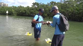 Naples Florida Sheepshead and Redfish CRAZY [upl. by Asseret]