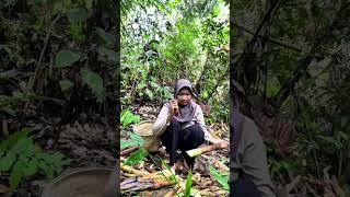 kegiatan di kebun minivlog adventure vlogadayinmylife [upl. by Ahsimet]