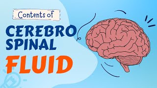 WHAT IS CEREBROSPINAL FLUID MADE UP OF [upl. by Junius141]