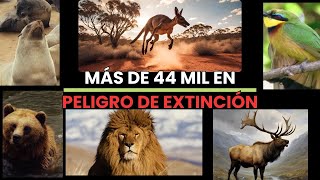 HISTORIAS de los Últimos Encuentros con Especies EXTINTAS especies que Desaparecieron Seres Extinto [upl. by Gnof]