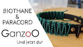 Halsband aus Biothane und Paracord [upl. by Inor]