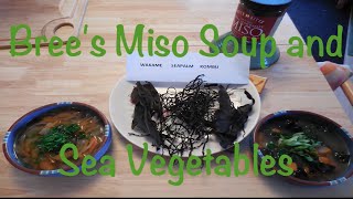 Brees Miso Soup and Sea Vegtables [upl. by Rey689]