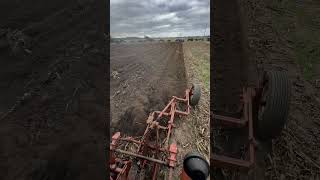 Allis Chalmers D17 Diesel plowing [upl. by Alpheus]